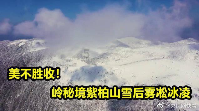 我是男.28左右.为啥我有职场恐惧症.害怕与领导同事相处.特别在意他们对我的看法反应态度评价.为啥？游戏画面